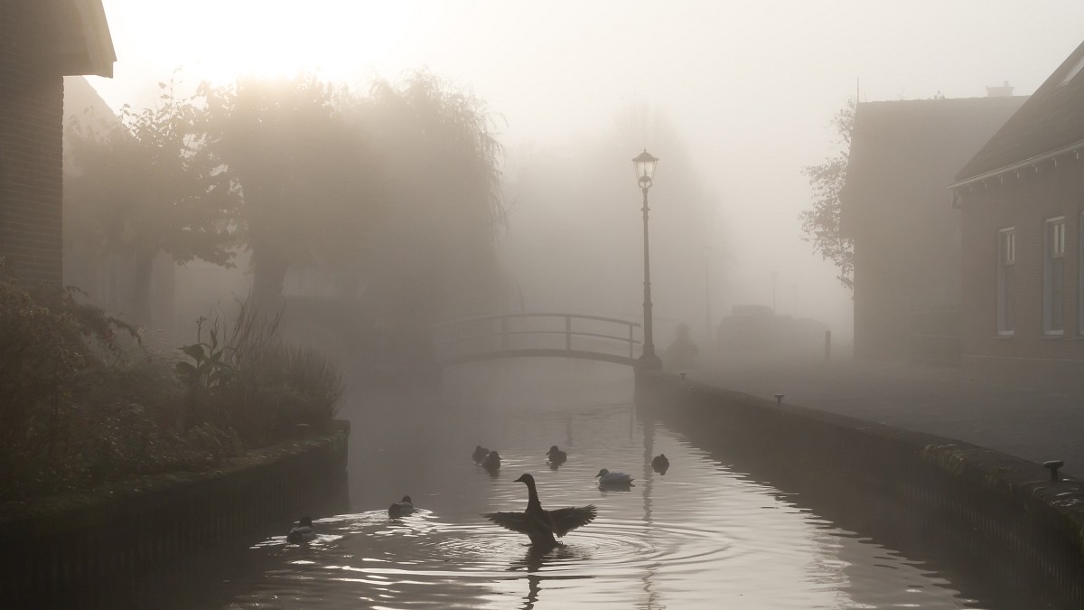 foto: [20191110PV0272-2]